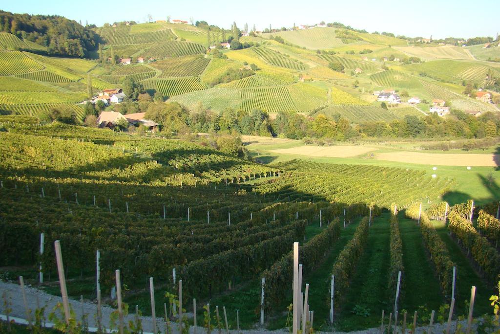 Farm Stay Jarc Vineyard Svecina Екстериор снимка