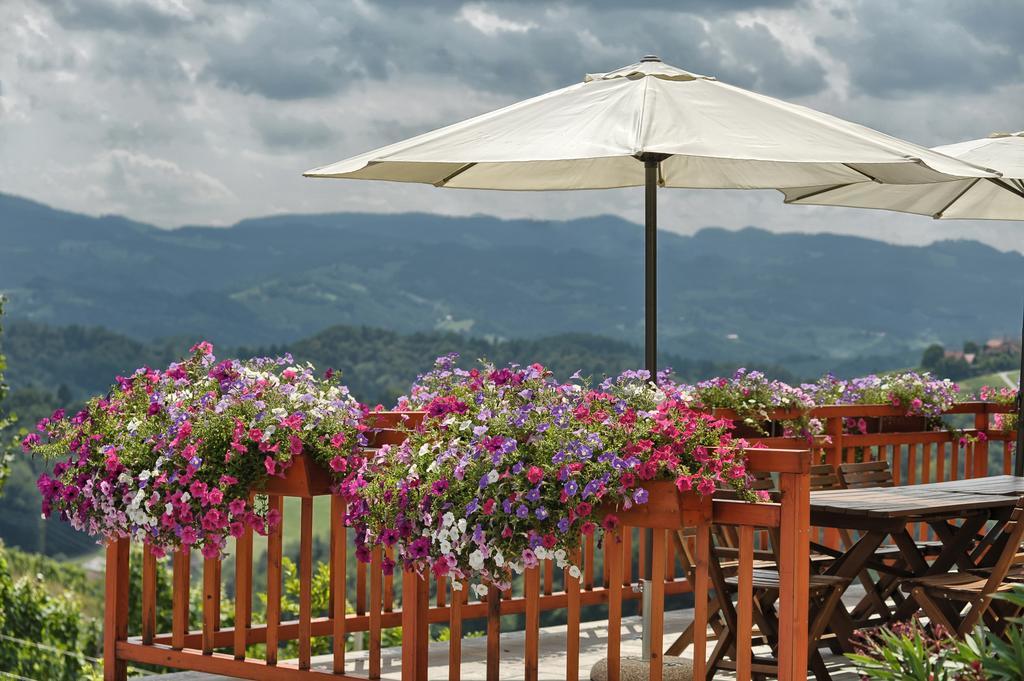Farm Stay Jarc Vineyard Svecina Екстериор снимка