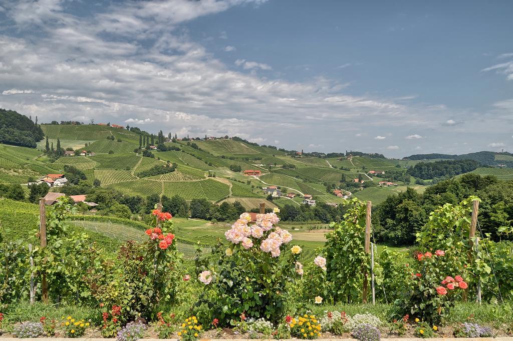 Farm Stay Jarc Vineyard Svecina Екстериор снимка