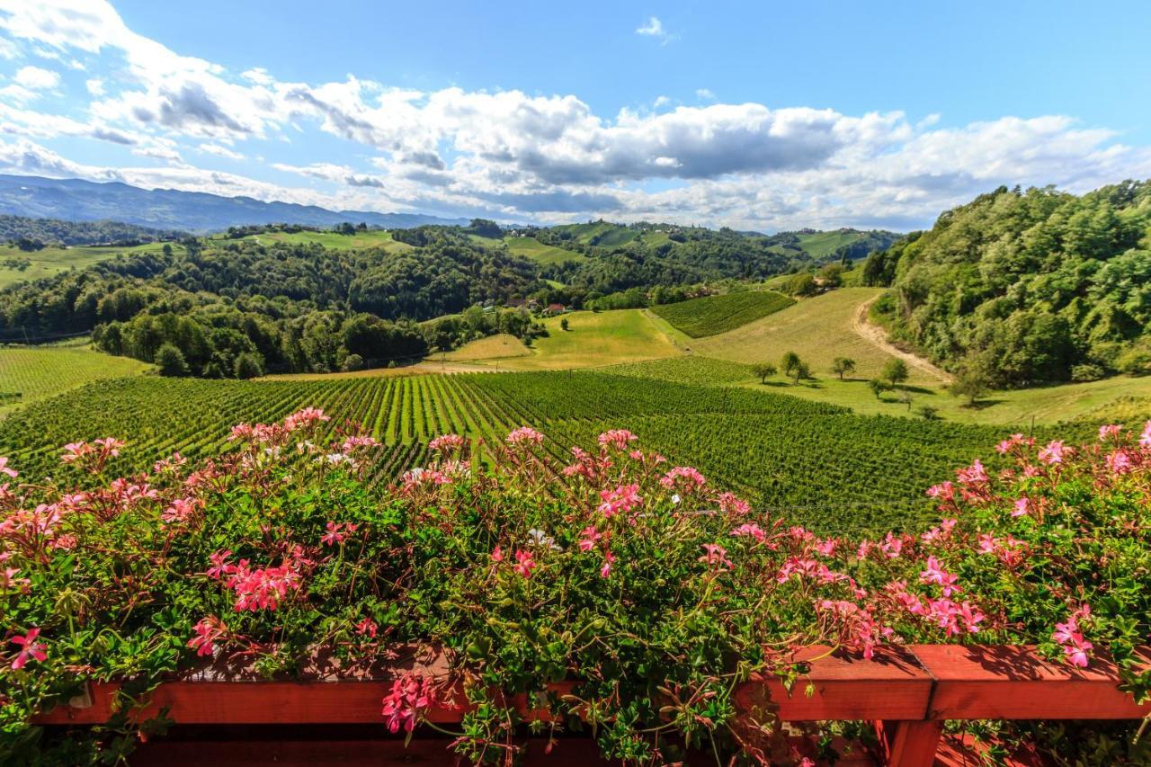 Farm Stay Jarc Vineyard Svecina Екстериор снимка